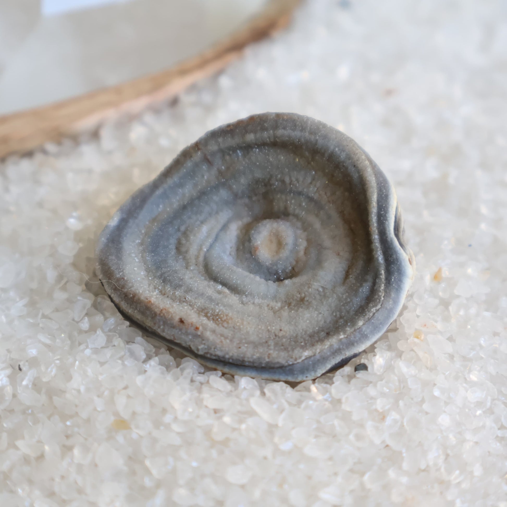 Grey Chalcedony rose formations with natural druzy crystal centres and soft layered patterns