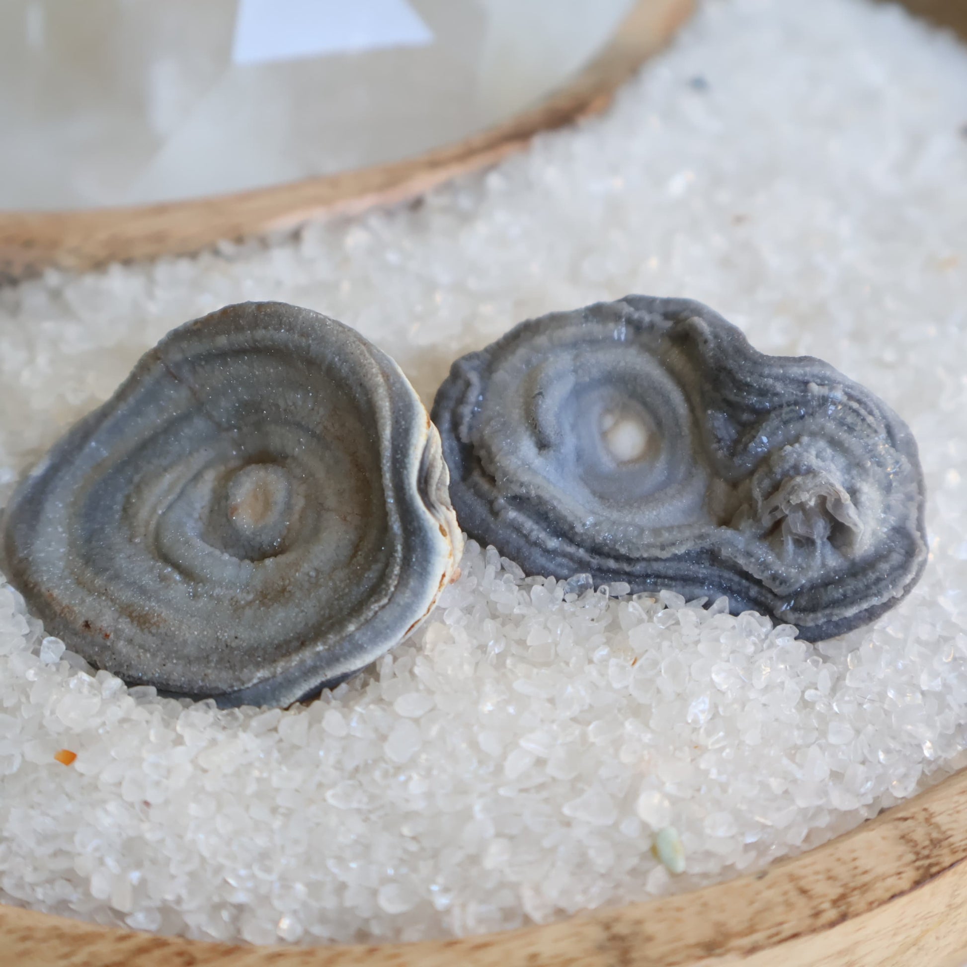 Grey Chalcedony rose formations with natural druzy crystal centres and soft layered patterns