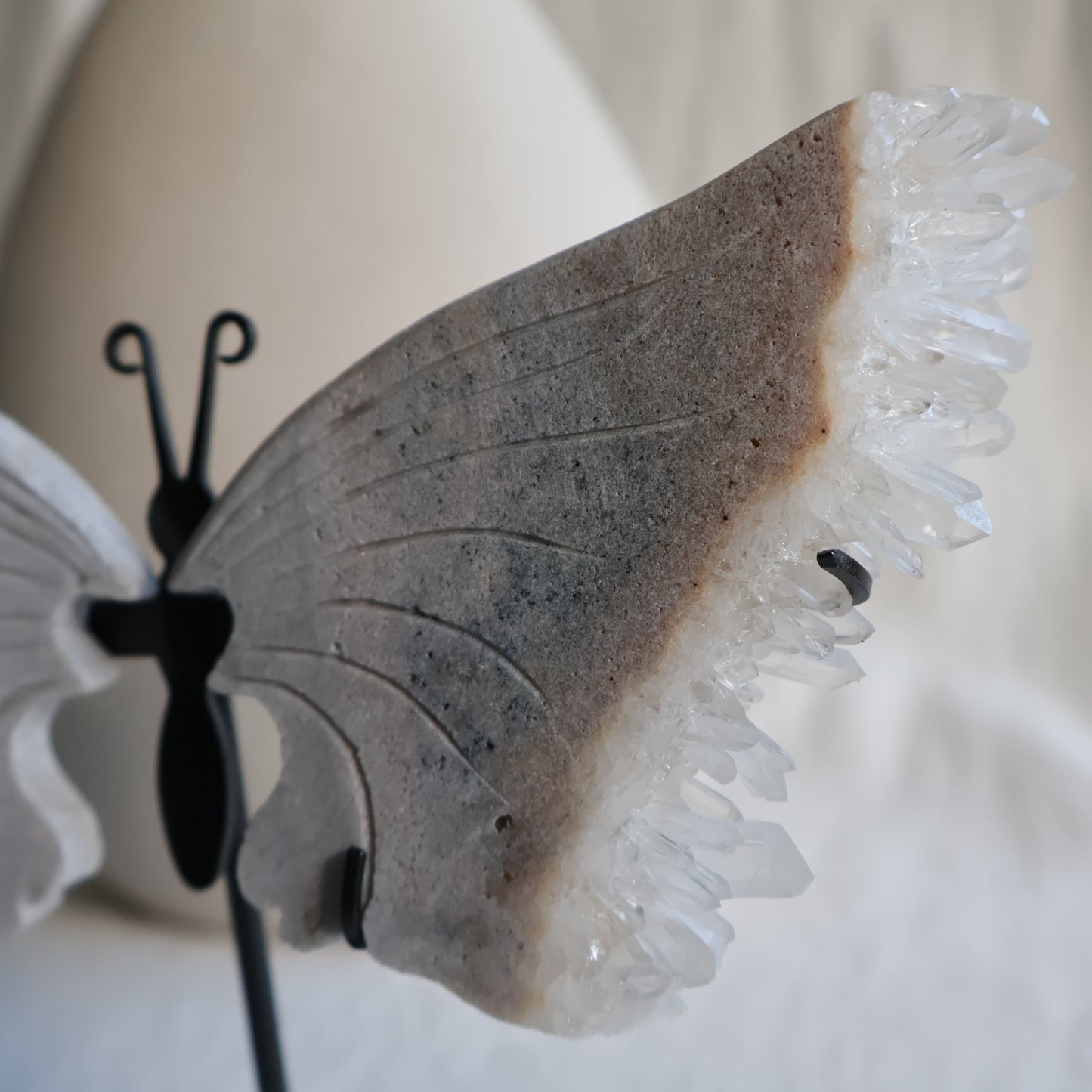 clear quartz butterfly with natural clusters on stand