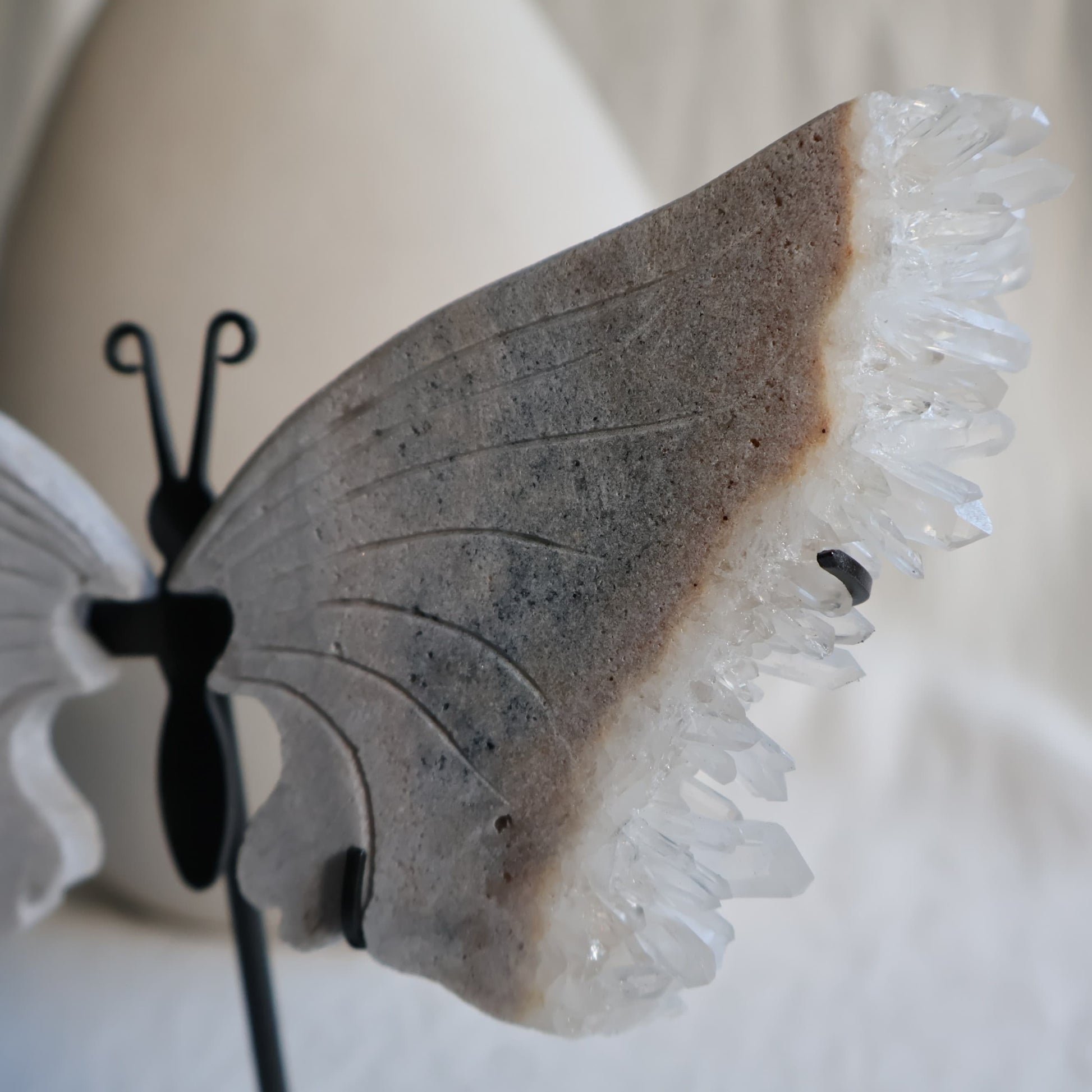 clear quartz butterfly with natural clusters on stand