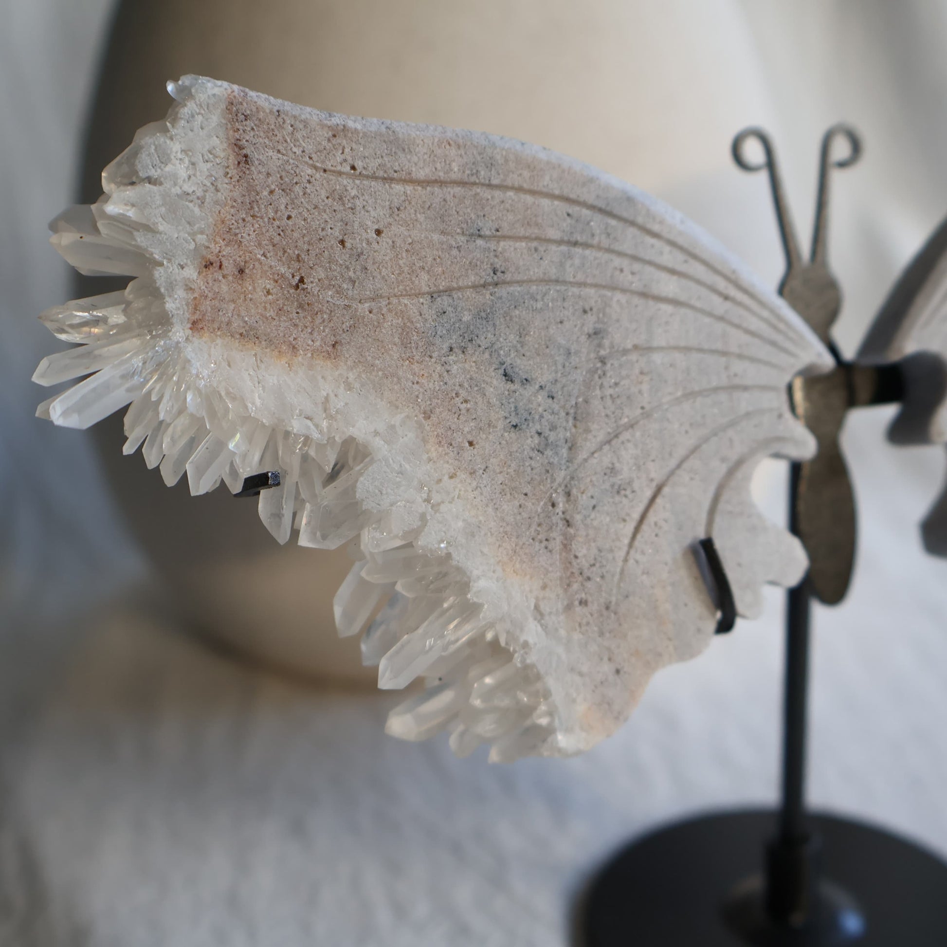 clear quartz butterfly with natural clusters on stand