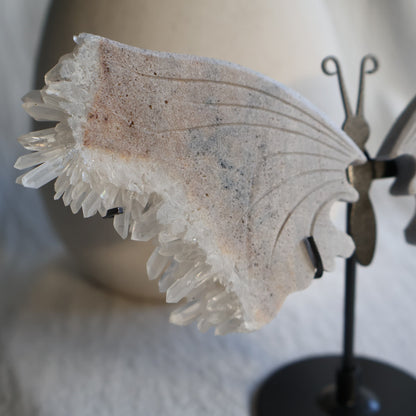 clear quartz butterfly with natural clusters on stand