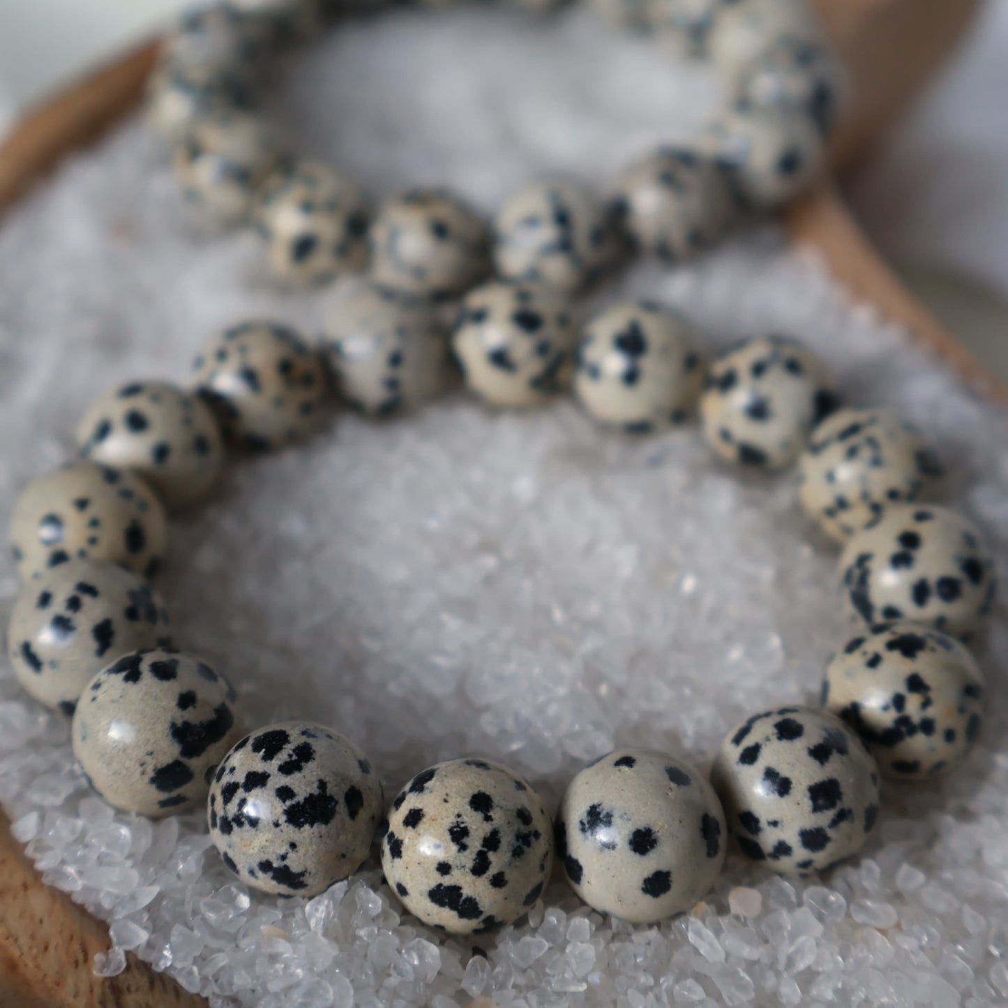 Dalmatian Jasper 12mm bead stretch bracelet with a natural cream base and distinctive black and brown spotted markings.