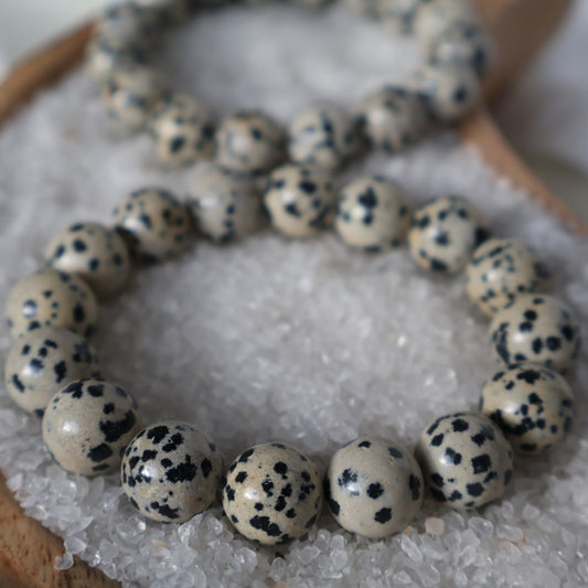 Dalmatian Jasper 12mm bead stretch bracelet with a natural cream base and distinctive black and brown spotted markings.