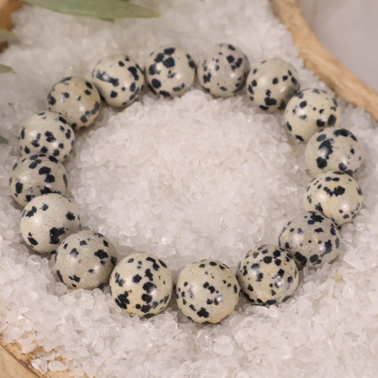 Dalmatian Jasper Bracelet Natural Healing Crystal