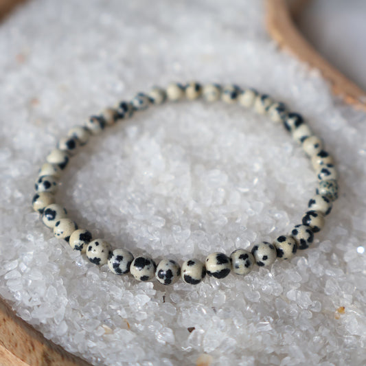 Dalmatian Jasper 4mm bead stretch bracelet with a natural cream base and distinctive black and brown spotted markings.