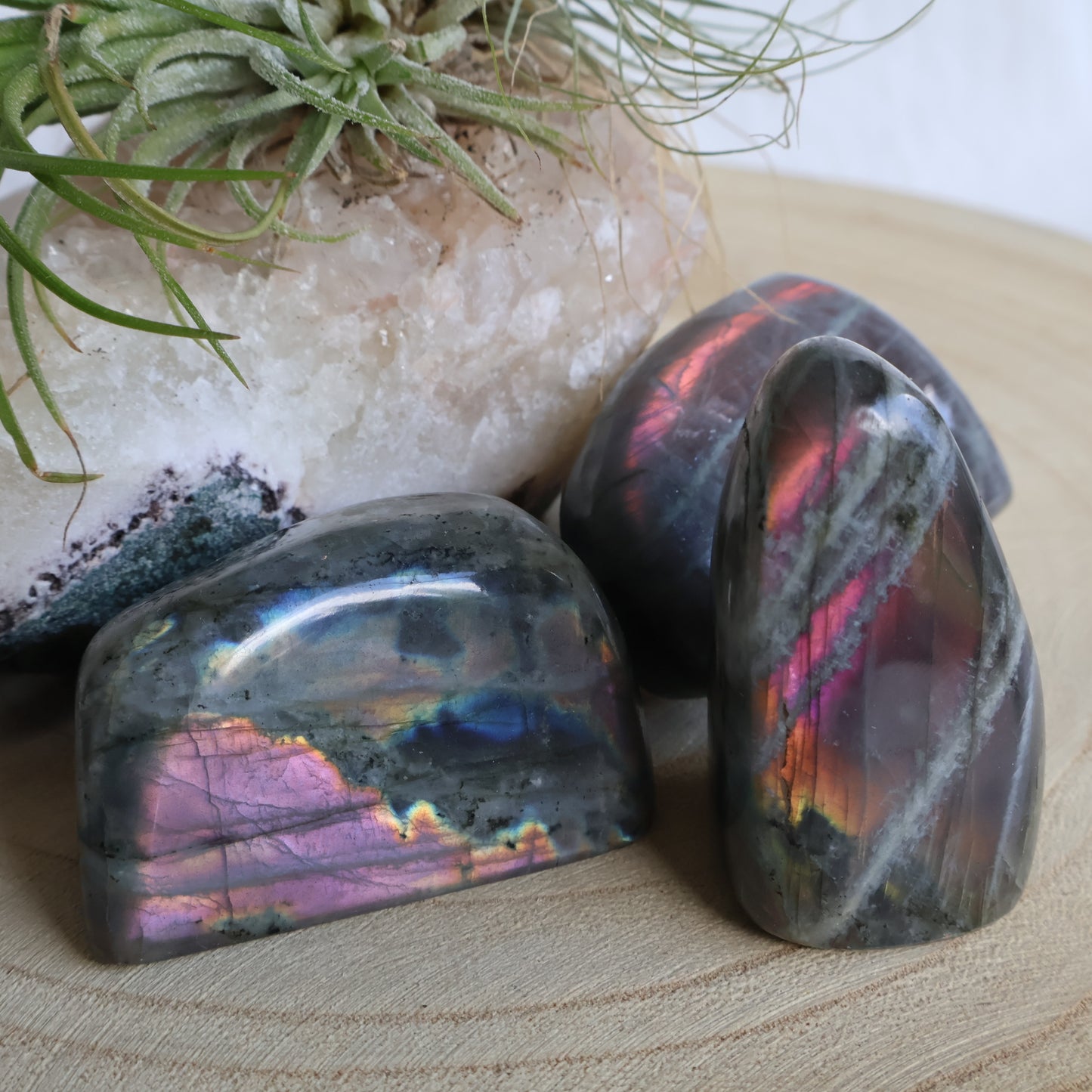 Labradorite | Freeform