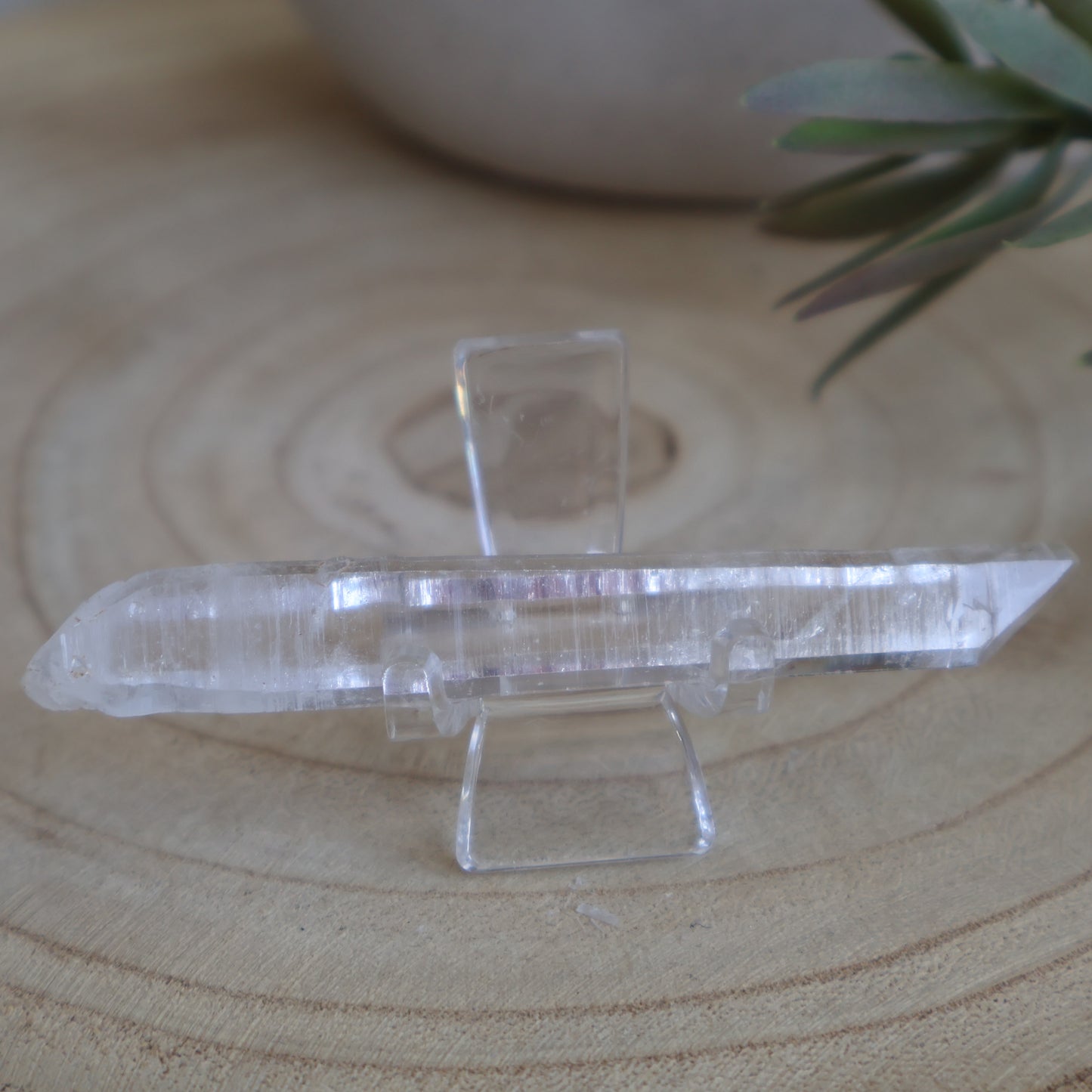 Lemurian Seeds | Raw Point
