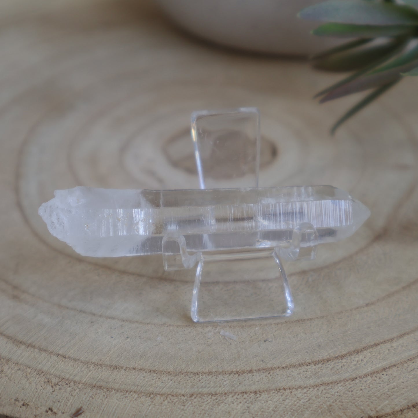 Lemurian Seeds | Raw Point