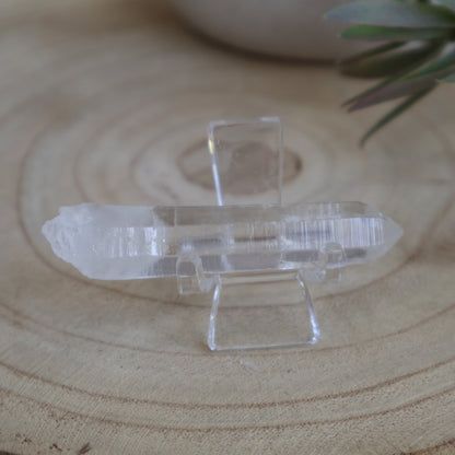 Lemurian Seeds | Raw Point