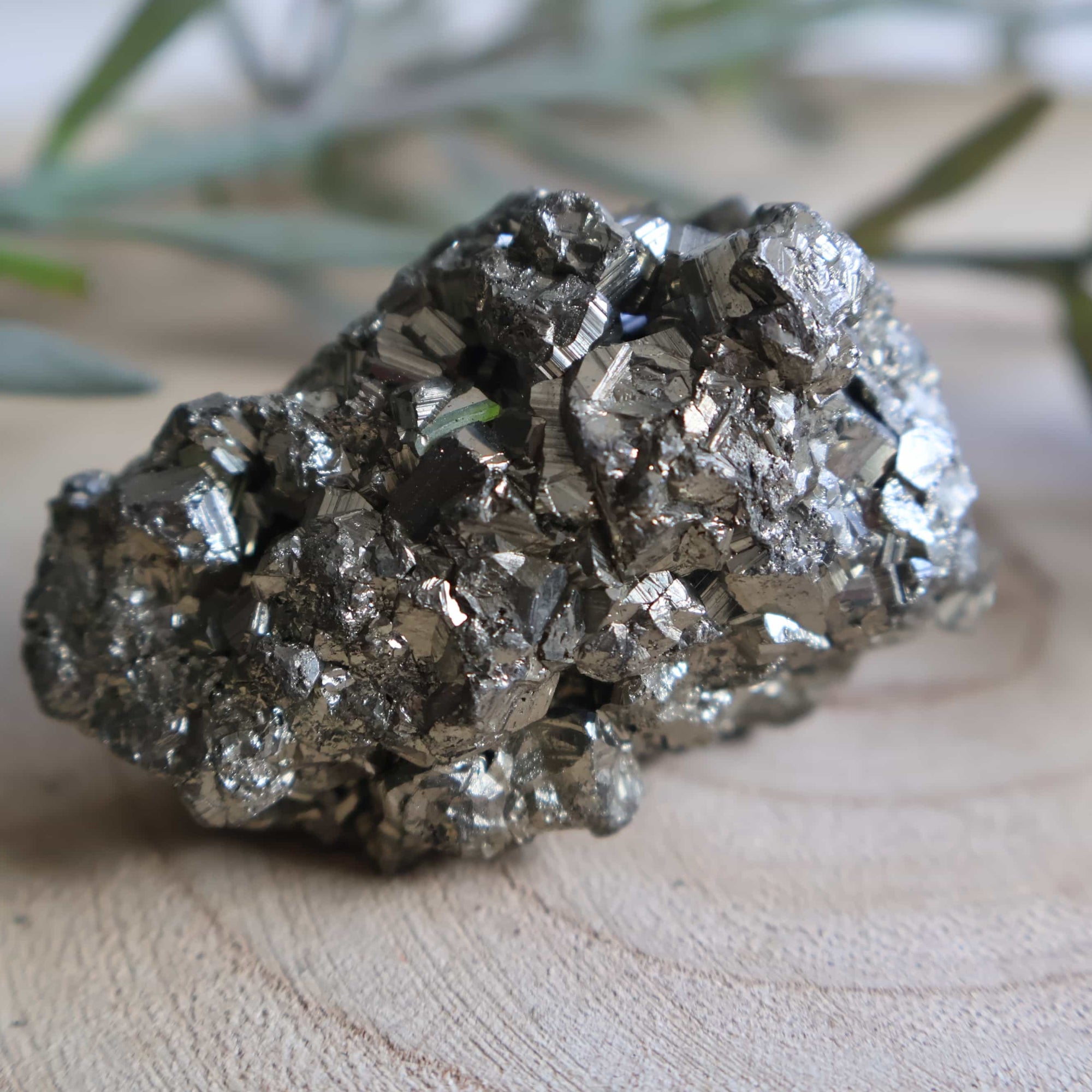 Pyrite | Rough - XL – Stonewild
