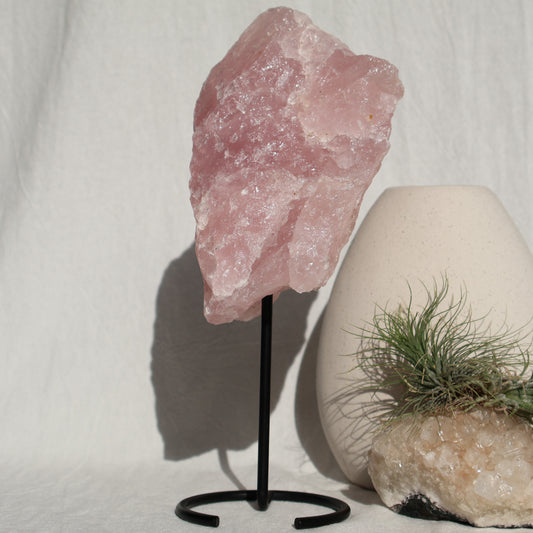 Rose Quartz | Rough on Stand (XL)