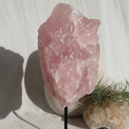 Rose Quartz | Rough on Stand (XL)