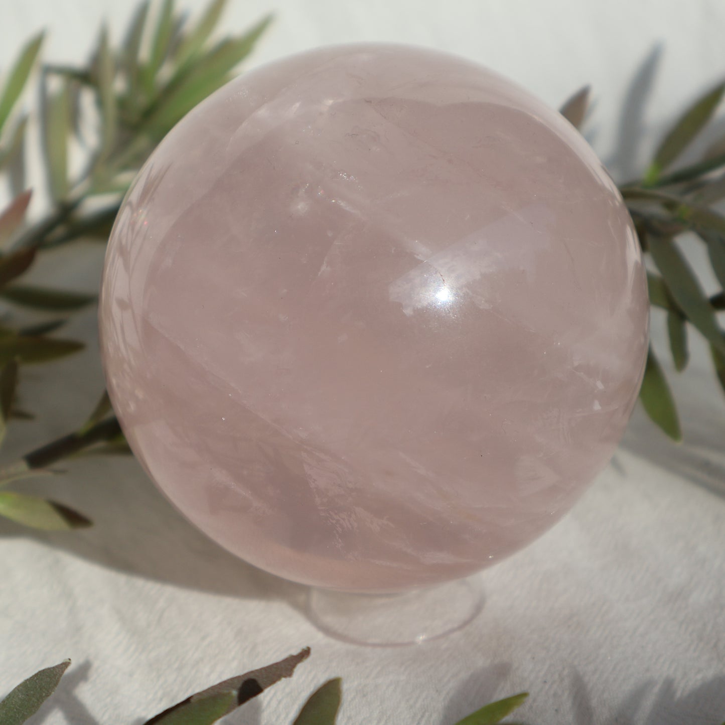 Rose Quartz | Sphere - XL