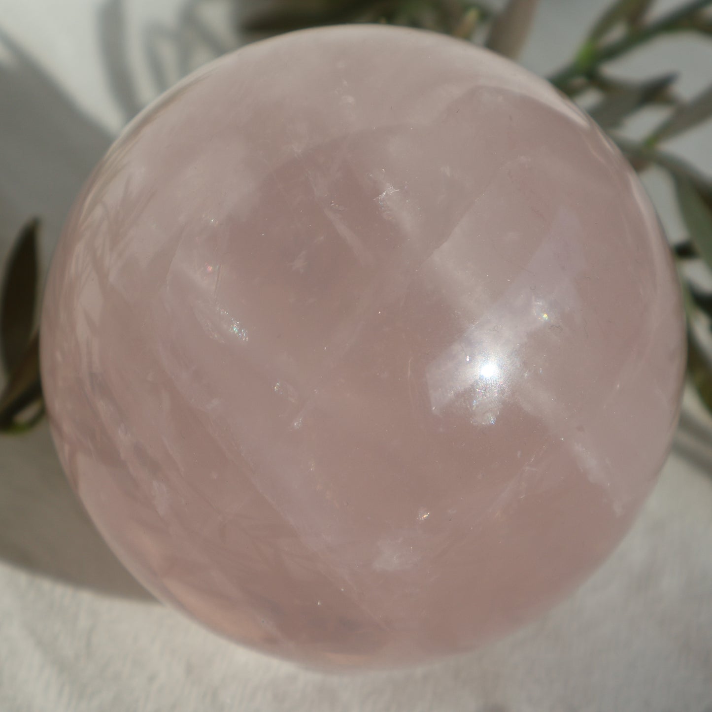 Rose Quartz | Sphere - XL