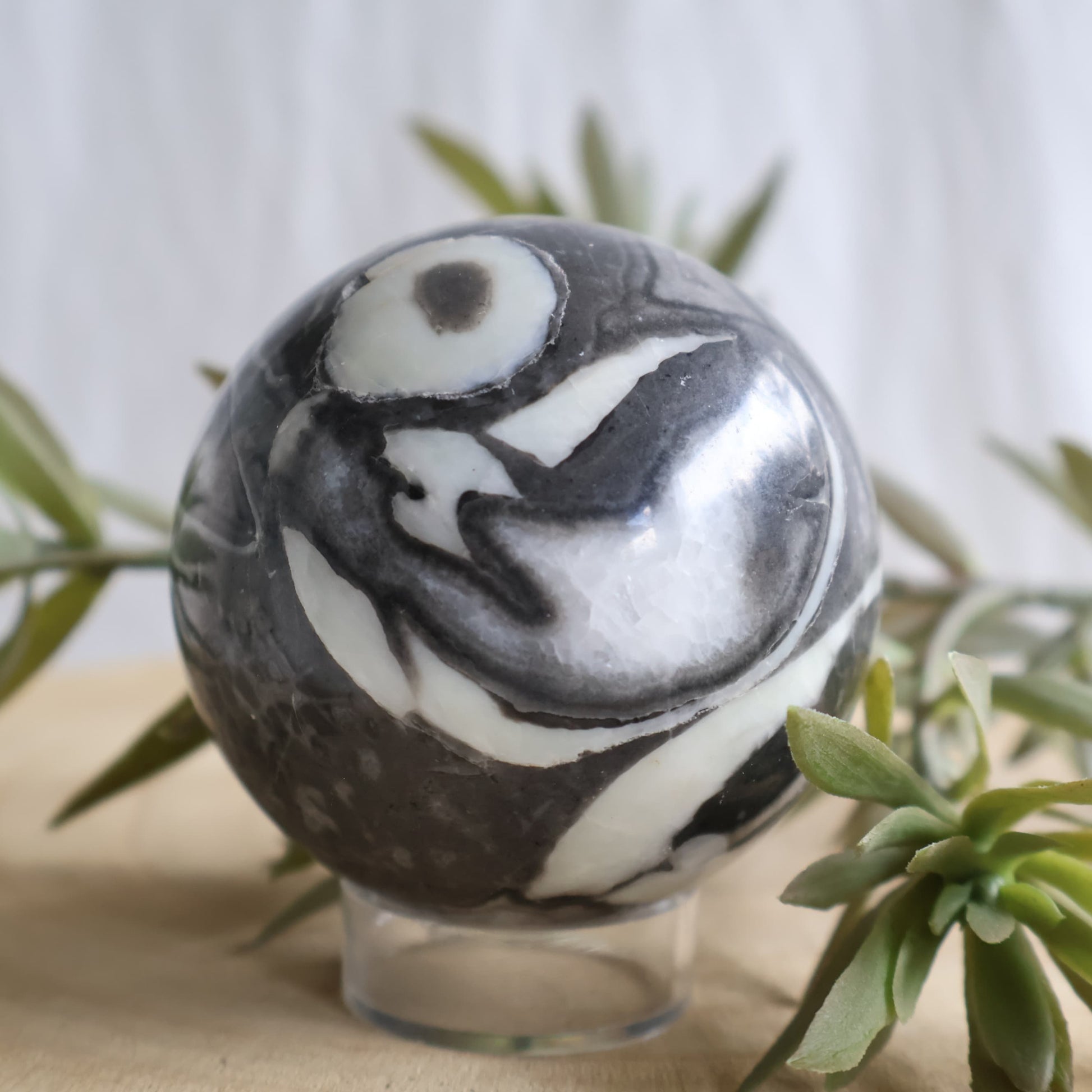 Thousand Eye Jasper sphere with swirling black, grey and creamy white fossil patterns and distinctive eye-like formations, 6cm polished sphere
