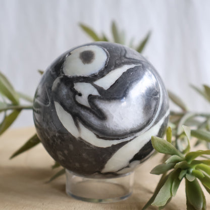 Thousand Eye Jasper sphere with swirling black, grey and creamy white fossil patterns and distinctive eye-like formations, 6cm polished sphere