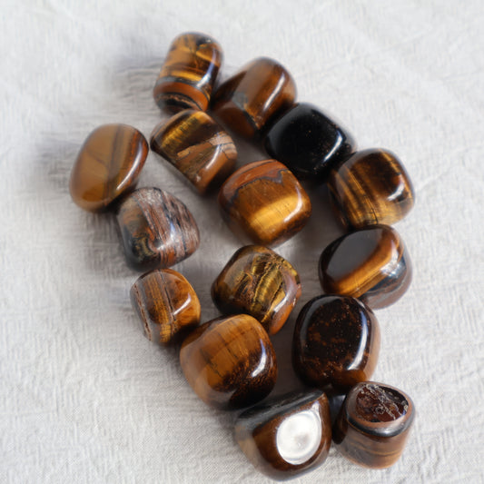 Tigers Eye | Tumble